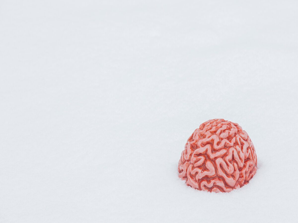 Neuroeducación en la etapa de Educación Infantil