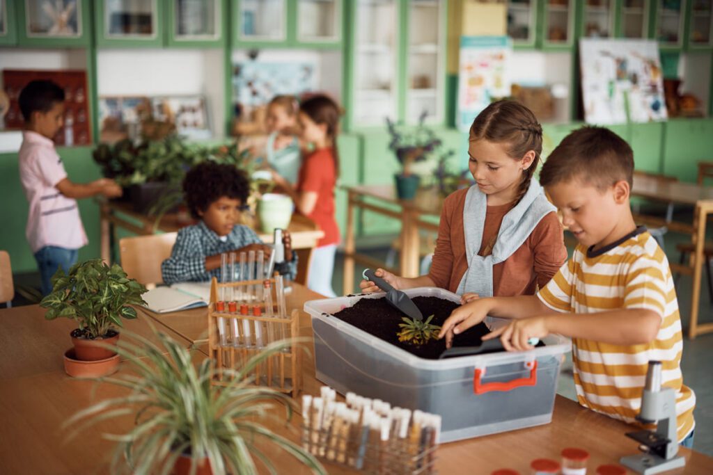Proyectos interdisciplinares inspirados en el enfoque Reggio Emilia: Fases de desarrollo