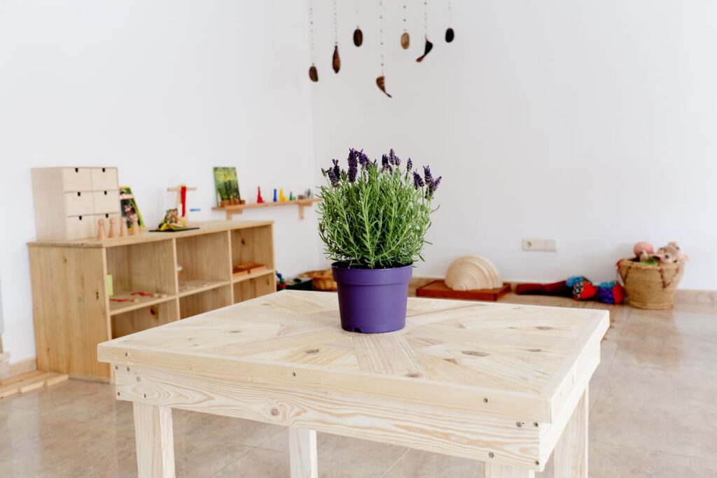 Promover la autonomía a través de rutinas y responsabilidades