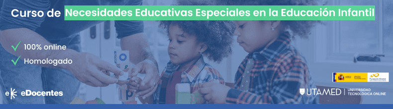 Curso de Necesidades Educativas Especiales en la Educación Infantil