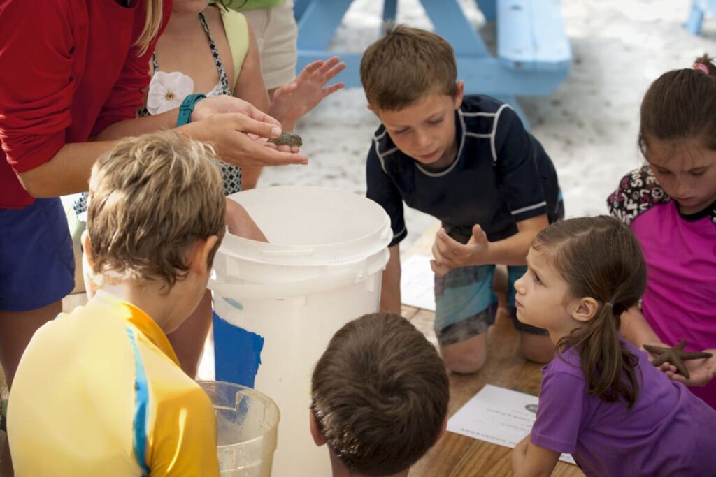 Grupo de estudiantes en formación práctica para llegar a ser Coordinador de Ocio y Tiempo Libre.