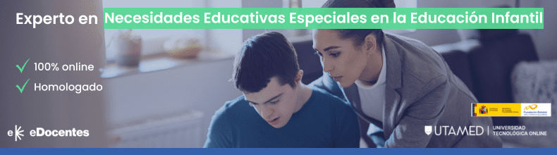 Experto en Necesidades Educativas Especiales en la Educación Infantil