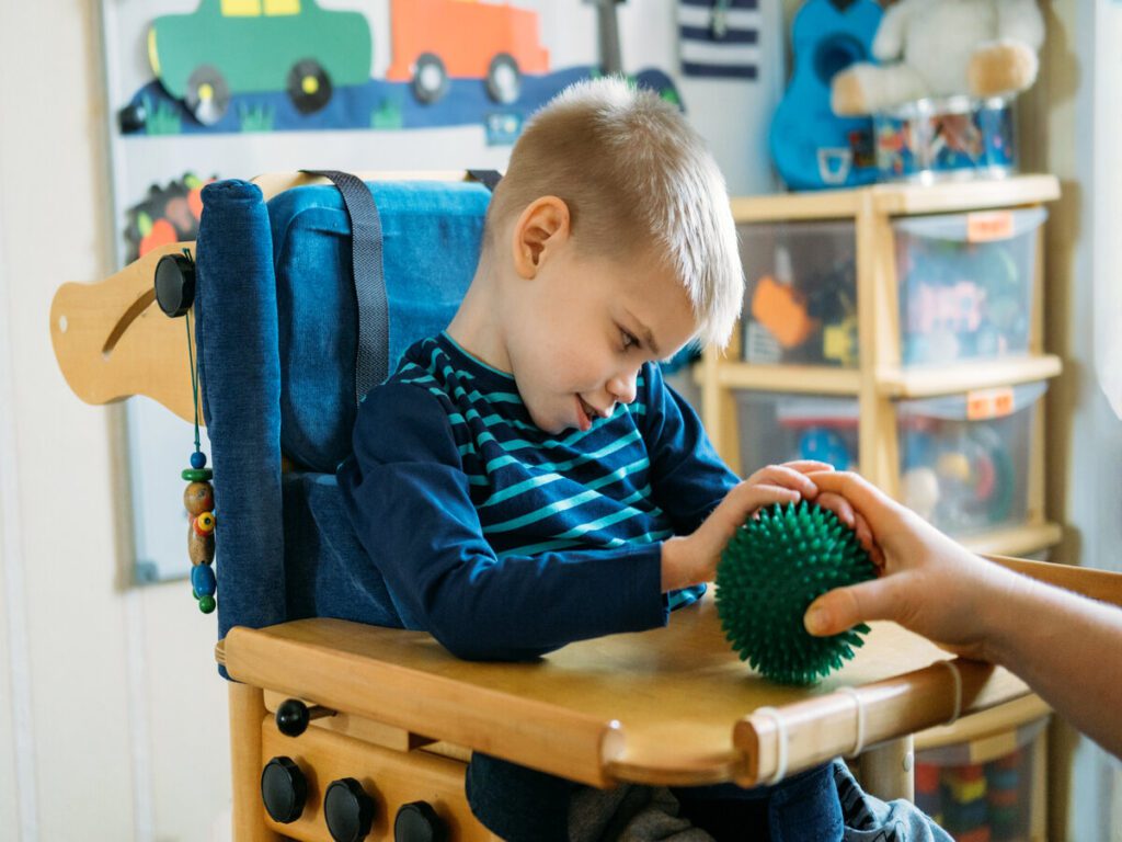 Experto universitario en las Necesidades Educativas Especiales en la Educación Infantil