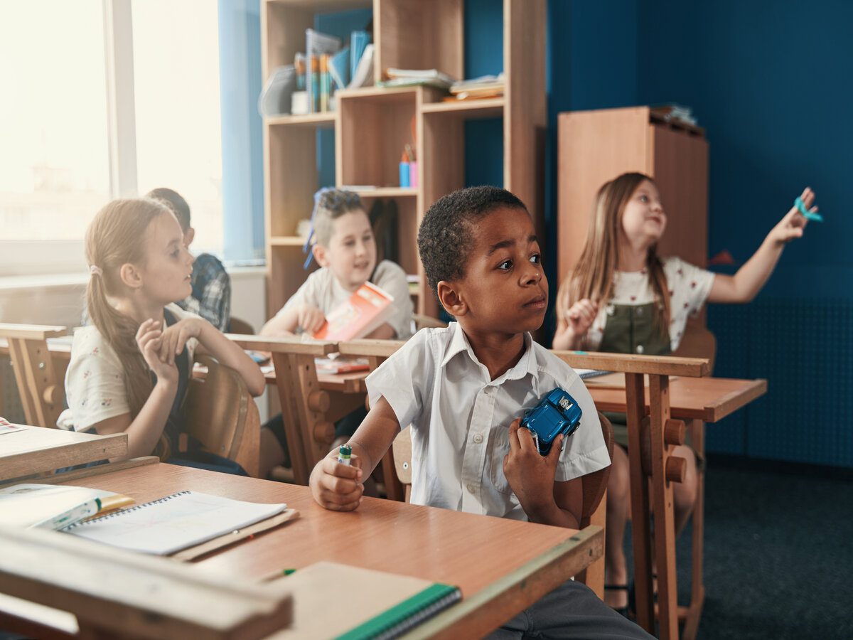 Atención a la Diversidad en la Educación Primaria