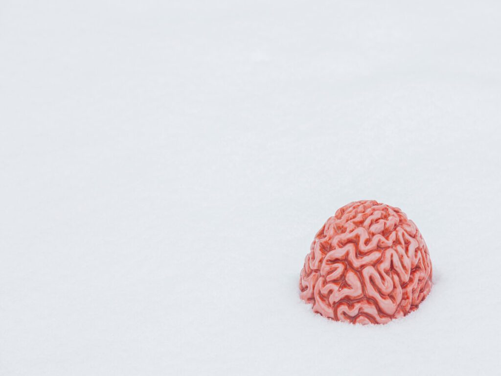 Neuroeducación en la etapa de Educación Infantil