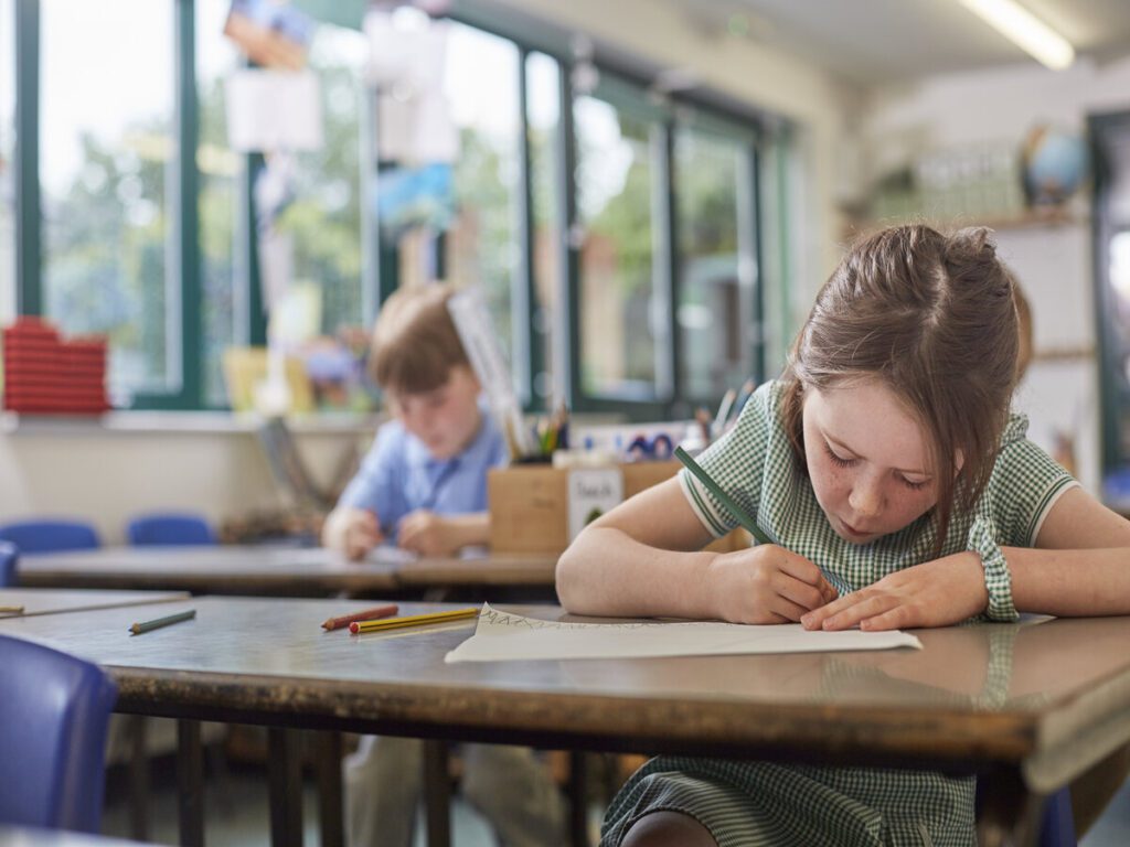 Neuroeducación en la etapa de Educación Primaria