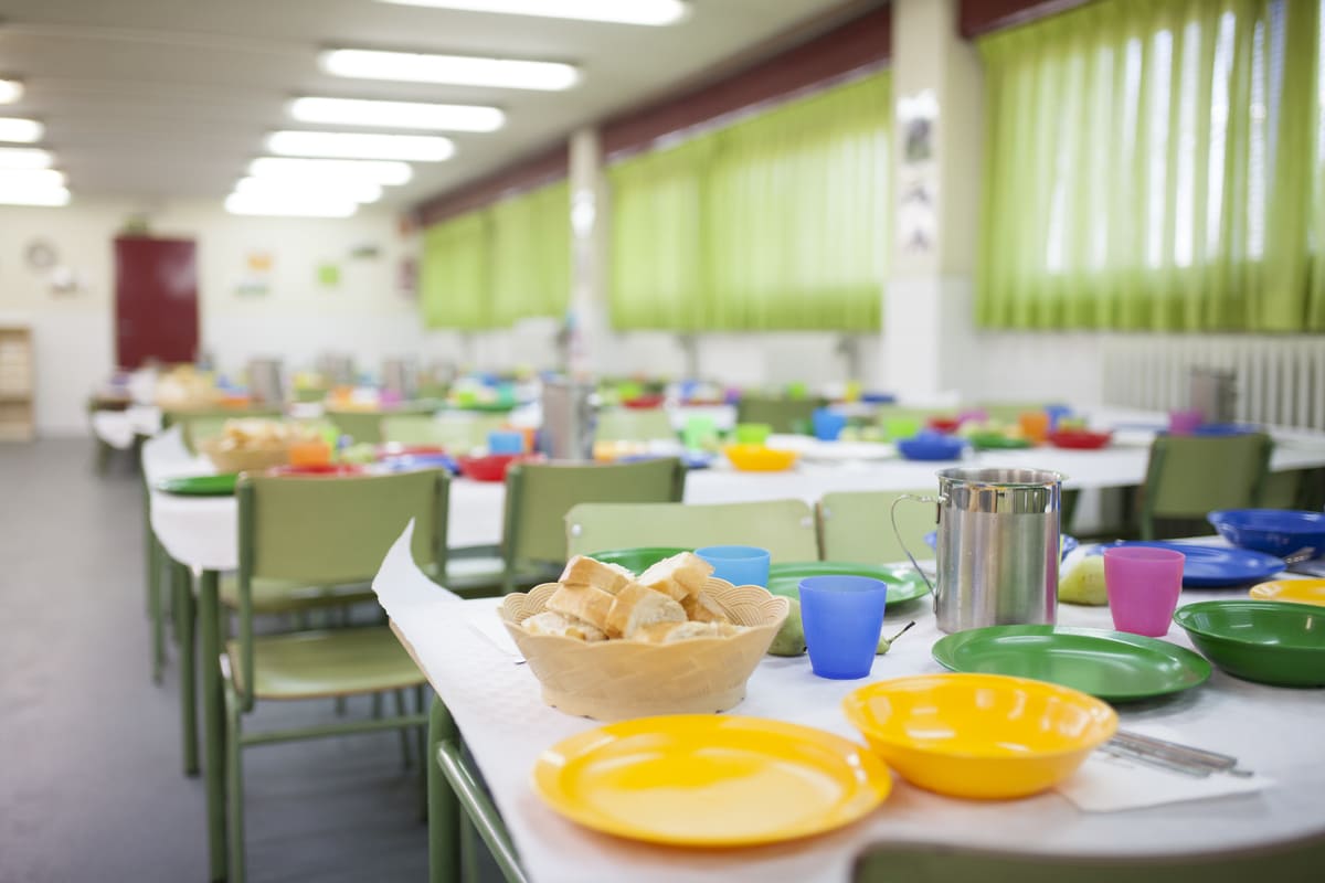 Imagen destacada de “Monitor de comedor escolar: qué perfil buscan las empresas”