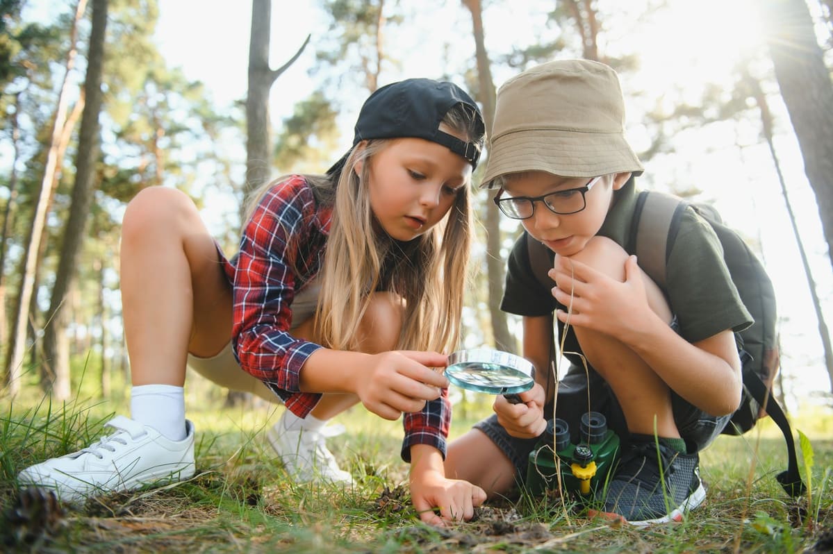 Imagen destacada de “Educación ambiental en el ocio y tiempo libre: actividades para niños y jóvenes”
